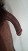 Salim09